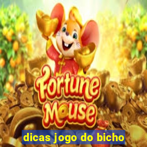 dicas jogo do bicho